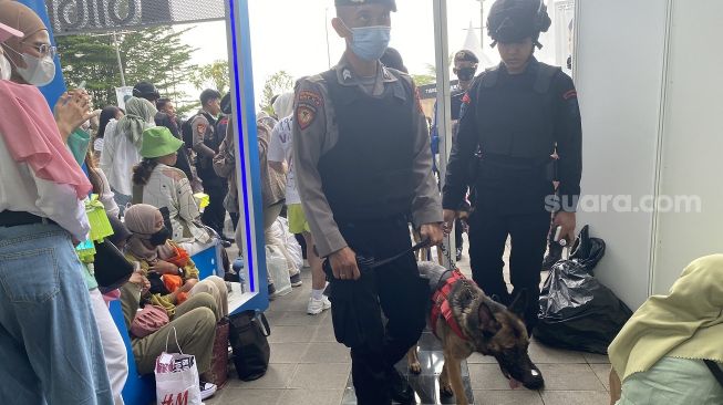 Petugas membawa anjing pelacak K9 saat menyusuri area konser NCT 127 di ICE BSD Pagedangan, Kabupaten Tangerang, Jumat (4/11/2022). [SuaraJakarta.id/Wivy Hikmatullah]